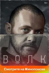 Волк 